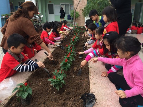 Trường MN Đô Thị Việt Hưng phát động “Tết trồng cây xuân Đinh Dậu  